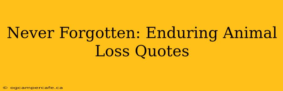 Never Forgotten: Enduring Animal Loss Quotes