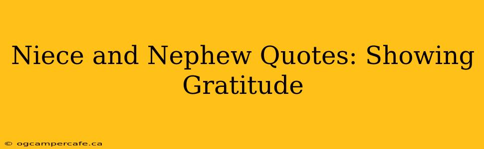 Niece and Nephew Quotes: Showing Gratitude