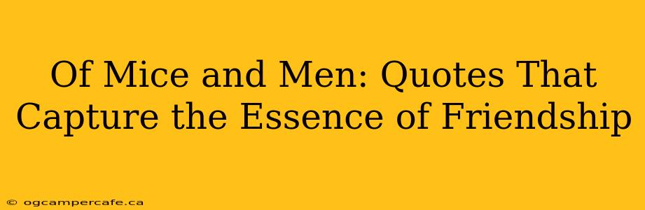 Of Mice and Men: Quotes That Capture the Essence of Friendship