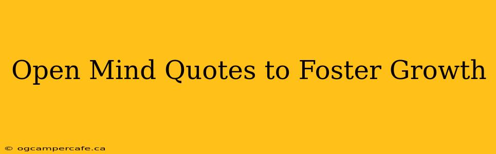 Open Mind Quotes to Foster Growth