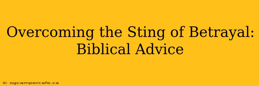 Overcoming the Sting of Betrayal: Biblical Advice