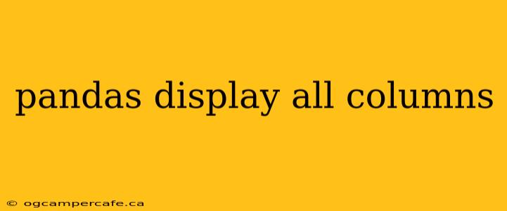 pandas display all columns