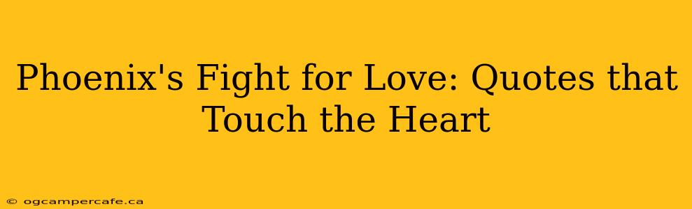 Phoenix's Fight for Love: Quotes that Touch the Heart