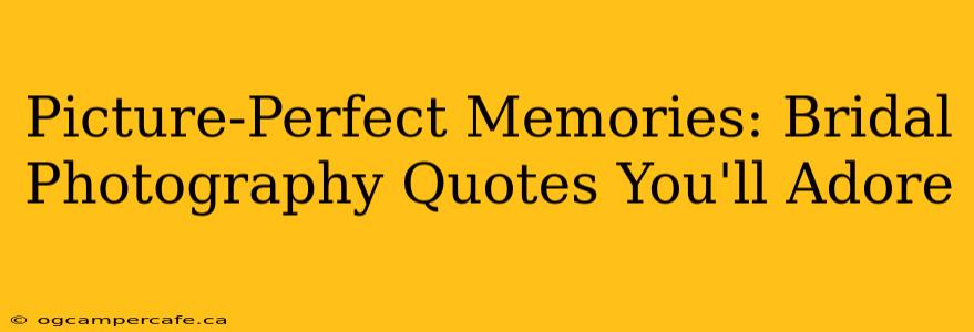 Picture-Perfect Memories: Bridal Photography Quotes You'll Adore