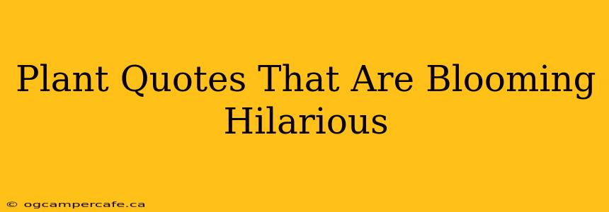 Plant Quotes That Are Blooming Hilarious