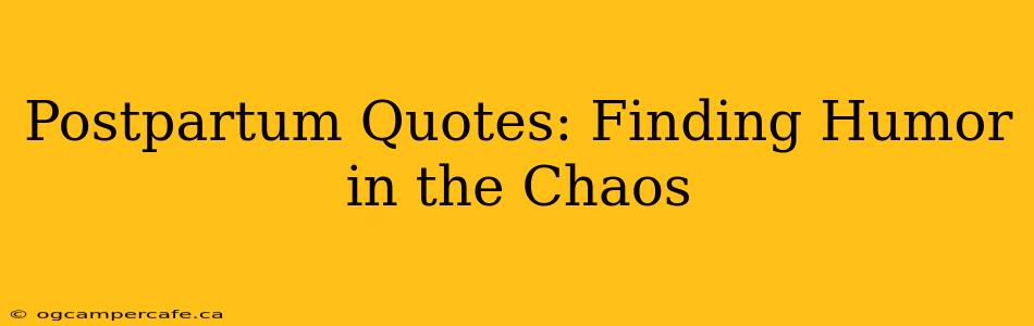 Postpartum Quotes: Finding Humor in the Chaos