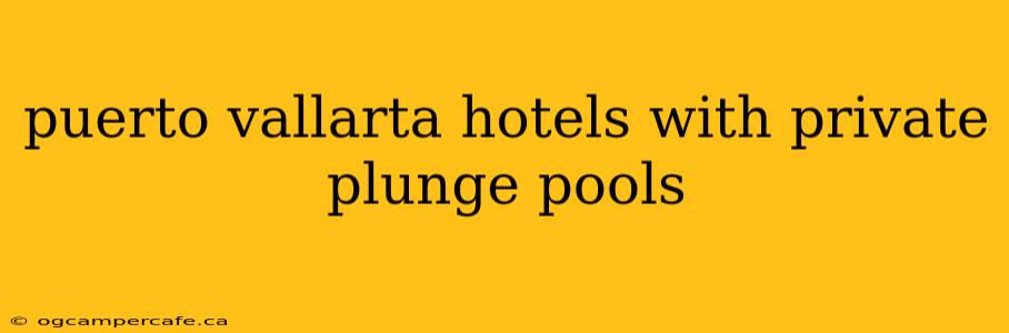 puerto vallarta hotels with private plunge pools