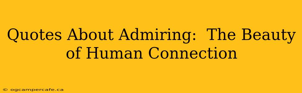 Quotes About Admiring:  The Beauty of Human Connection