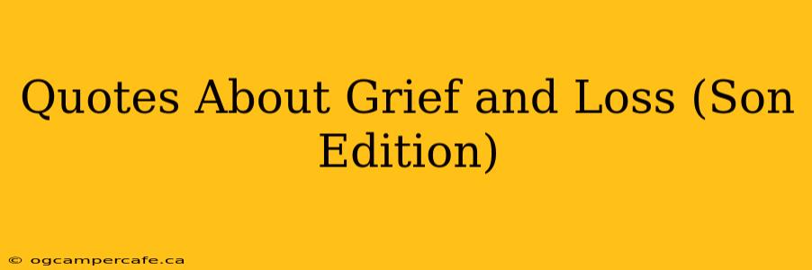 Quotes About Grief and Loss (Son Edition)
