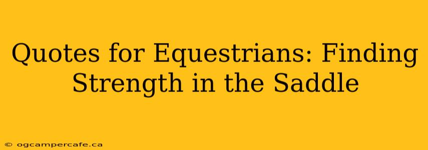 Quotes for Equestrians: Finding Strength in the Saddle