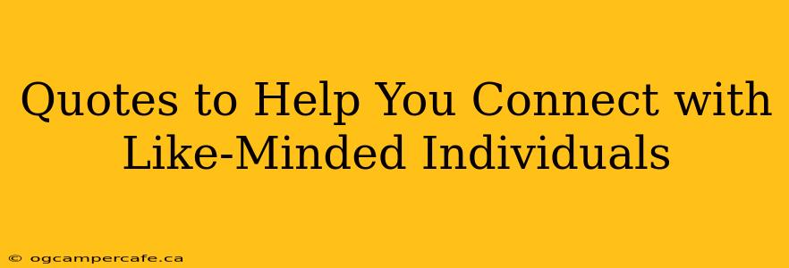 Quotes to Help You Connect with Like-Minded Individuals