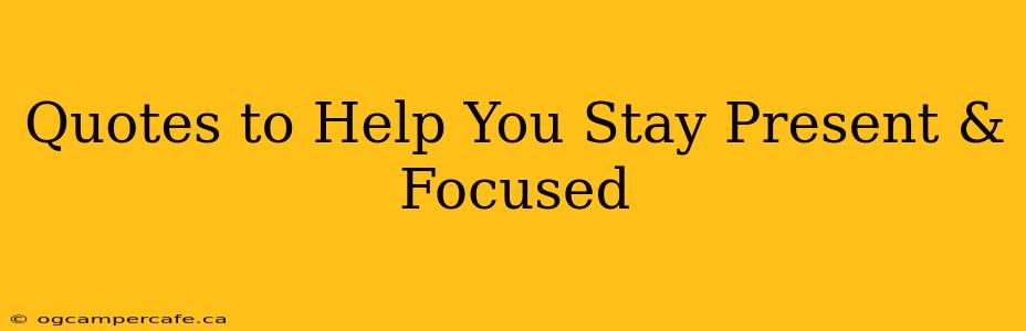 Quotes to Help You Stay Present & Focused