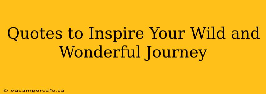 Quotes to Inspire Your Wild and Wonderful Journey