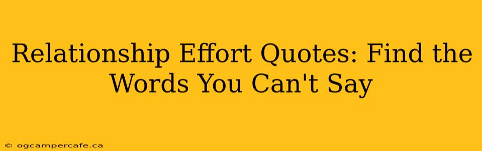 Relationship Effort Quotes: Find the Words You Can't Say