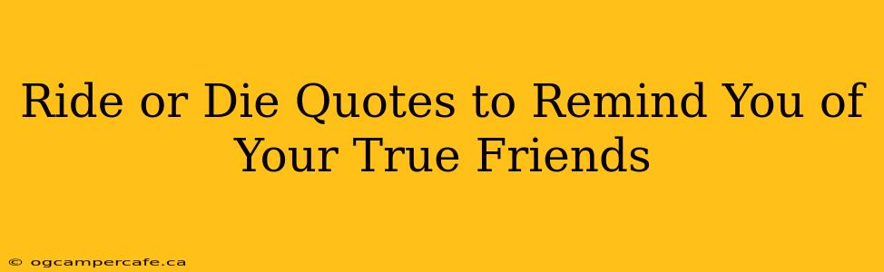 Ride or Die Quotes to Remind You of Your True Friends