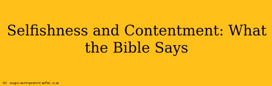 Selfishness and Contentment: What the Bible Says