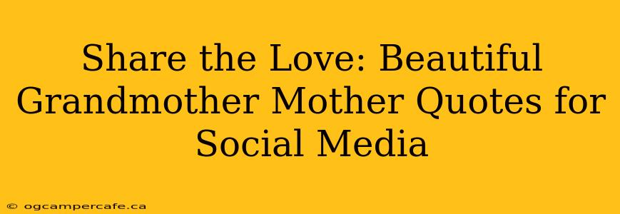 Share the Love: Beautiful Grandmother Mother Quotes for Social Media