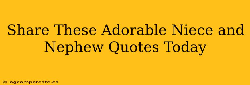 Share These Adorable Niece and Nephew Quotes Today