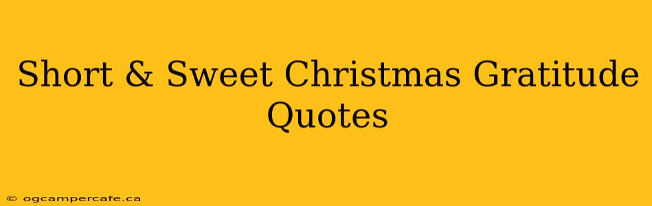 Short & Sweet Christmas Gratitude Quotes