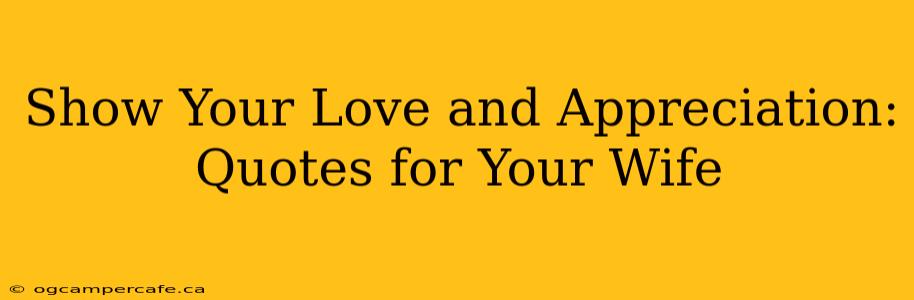 Show Your Love and Appreciation: Quotes for Your Wife