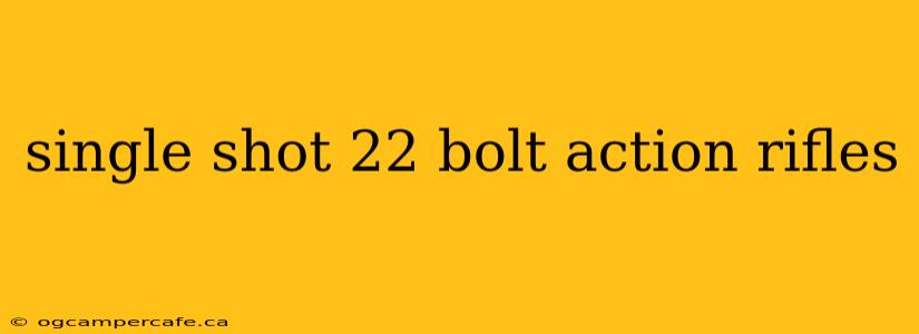 single shot 22 bolt action rifles