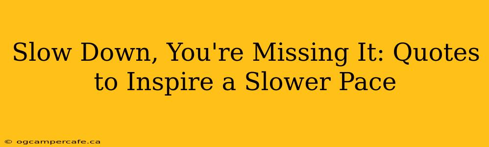 Slow Down, You're Missing It: Quotes to Inspire a Slower Pace