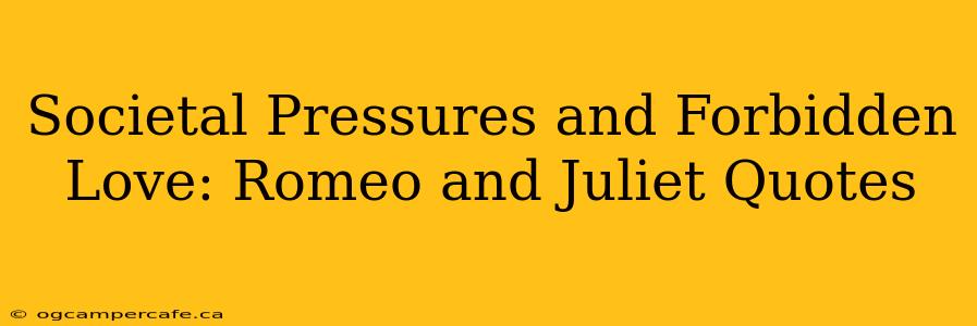 Societal Pressures and Forbidden Love: Romeo and Juliet Quotes