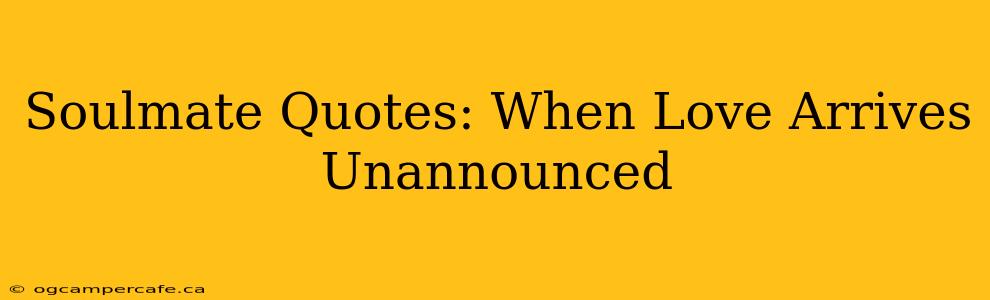 Soulmate Quotes: When Love Arrives Unannounced