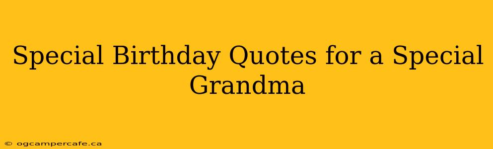 Special Birthday Quotes for a Special Grandma