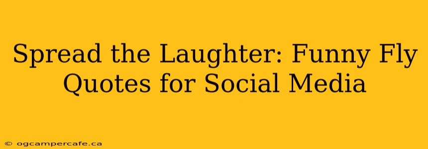 Spread the Laughter: Funny Fly Quotes for Social Media