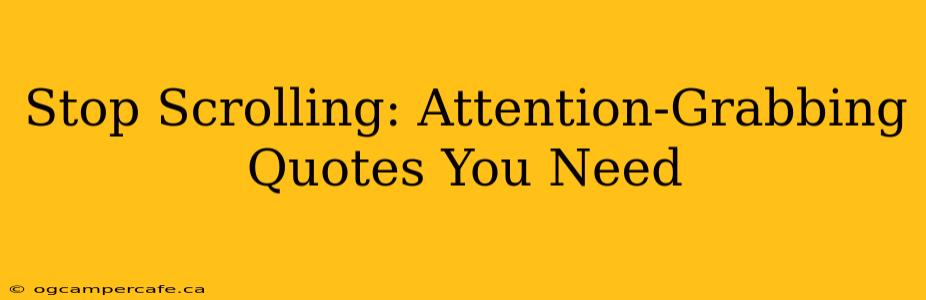 Stop Scrolling: Attention-Grabbing Quotes You Need