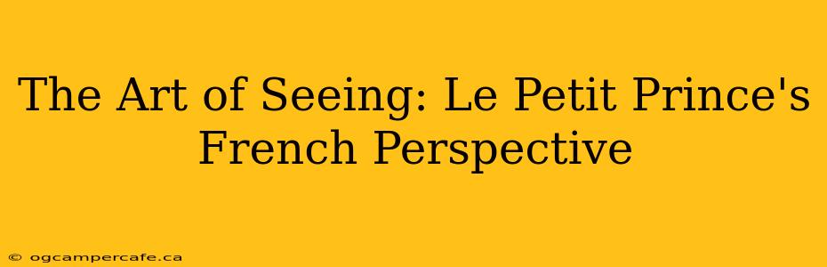 The Art of Seeing: Le Petit Prince's French Perspective