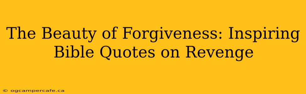 The Beauty of Forgiveness: Inspiring Bible Quotes on Revenge