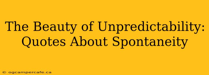 The Beauty of Unpredictability: Quotes About Spontaneity