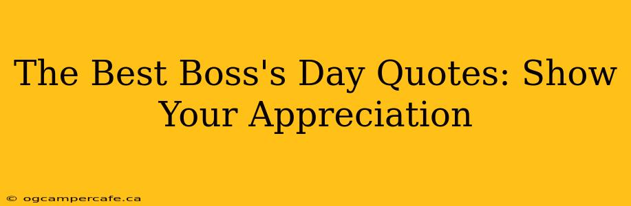 The Best Boss's Day Quotes: Show Your Appreciation