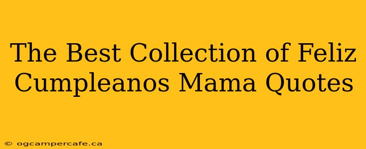 The Best Collection of Feliz Cumpleanos Mama Quotes