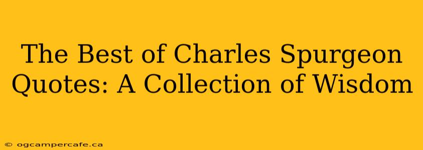 The Best of Charles Spurgeon Quotes: A Collection of Wisdom