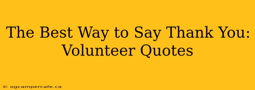 The Best Way to Say Thank You: Volunteer Quotes