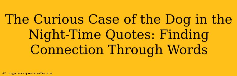 The Curious Case of the Dog in the Night-Time Quotes: Finding Connection Through Words