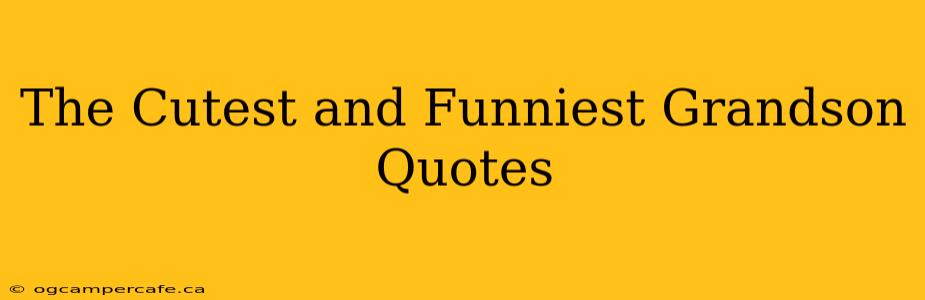 The Cutest and Funniest Grandson Quotes
