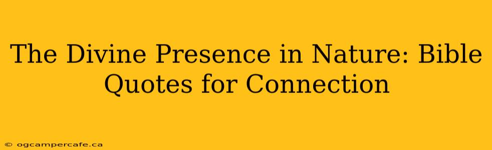 The Divine Presence in Nature: Bible Quotes for Connection
