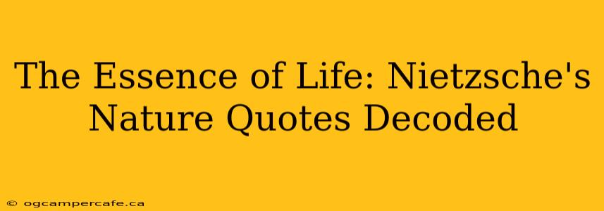The Essence of Life: Nietzsche's Nature Quotes Decoded