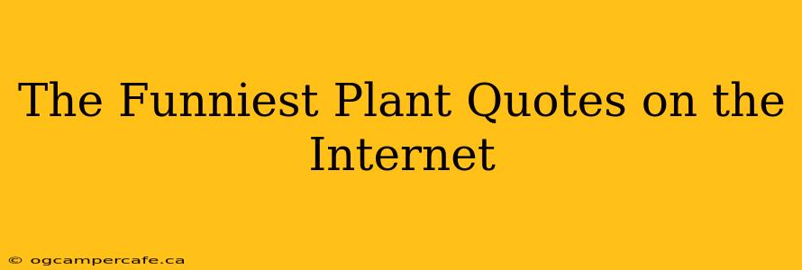 The Funniest Plant Quotes on the Internet