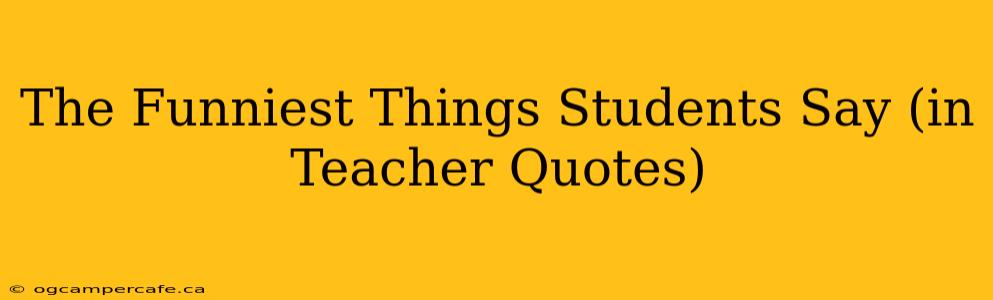 The Funniest Things Students Say (in Teacher Quotes)