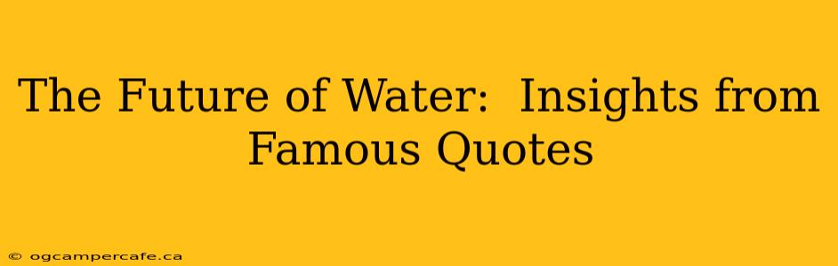 The Future of Water:  Insights from Famous Quotes