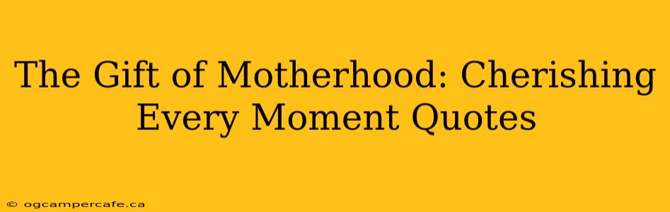 The Gift of Motherhood: Cherishing Every Moment Quotes