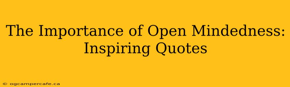 The Importance of Open Mindedness: Inspiring Quotes