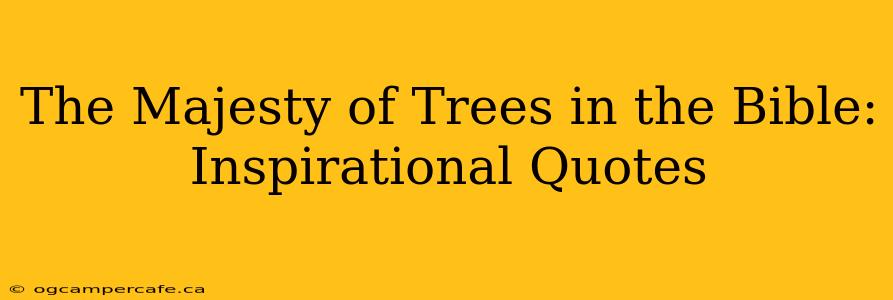 The Majesty of Trees in the Bible: Inspirational Quotes