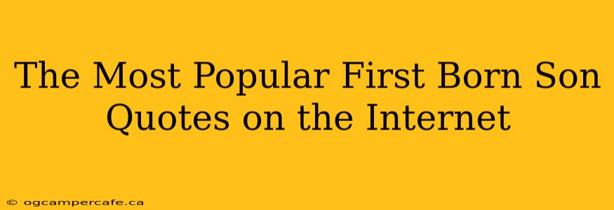 The Most Popular First Born Son Quotes on the Internet