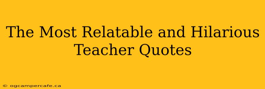 The Most Relatable and Hilarious Teacher Quotes